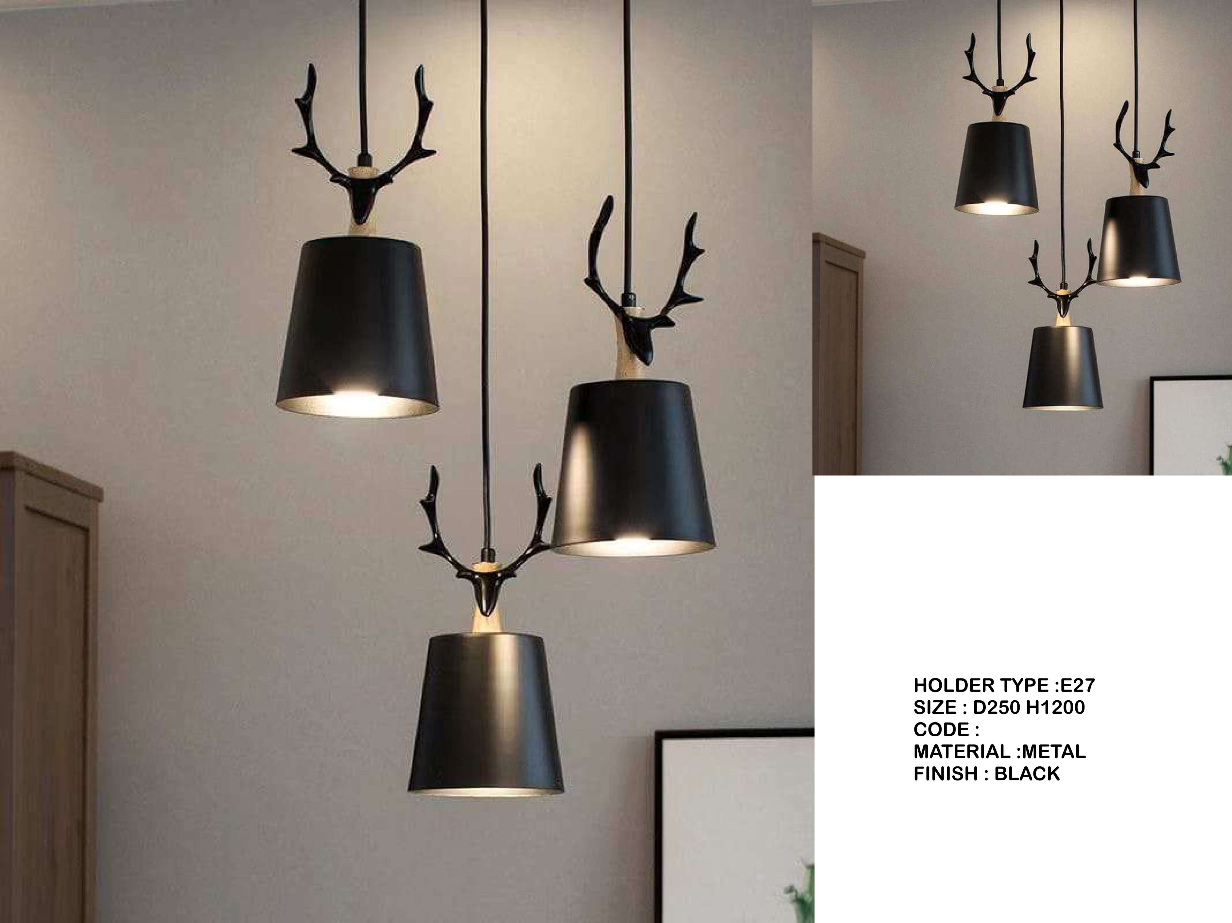 Beyond Lights - Black Pendant Lamp- LCHL